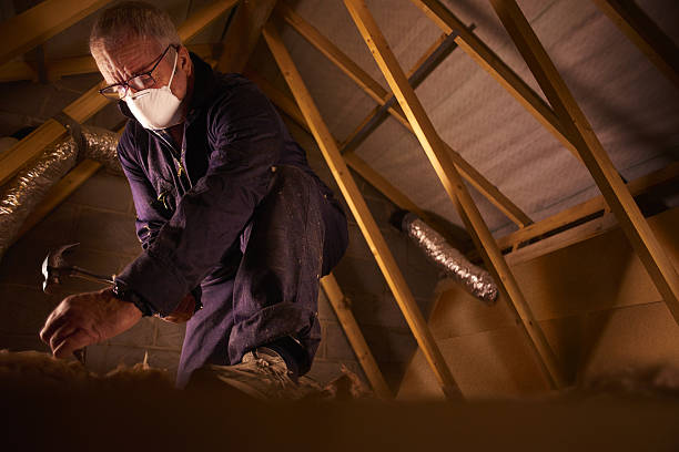 Best Geographic-Specific Insulation Services in Angola, IN