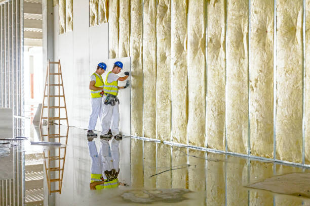 Types of Insulation We Offer in Angola, IN